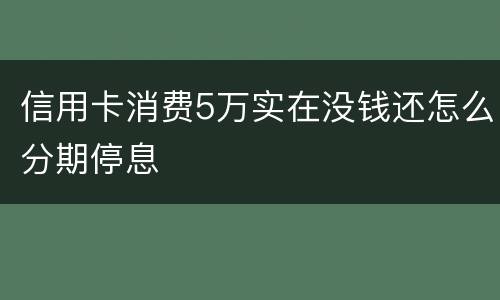 信用卡消费5万实在没钱还怎么分期停息