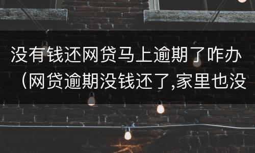 没有钱还网贷马上逾期了咋办（网贷逾期没钱还了,家里也没钱了怎么办）