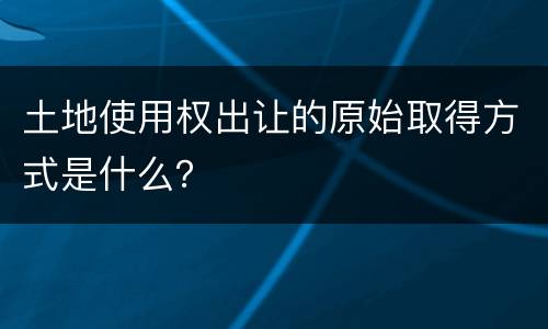 土地使用权出让的原始取得方式是什么？