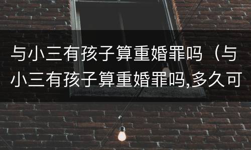 与小三有孩子算重婚罪吗（与小三有孩子算重婚罪吗,多久可追究重婚罪）