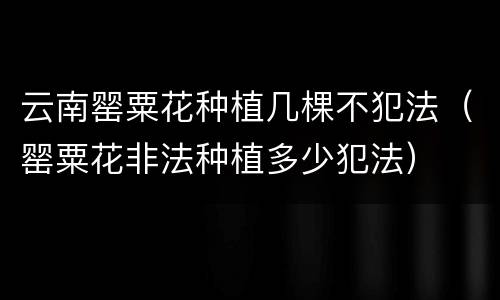 云南罂粟花种植几棵不犯法（罂粟花非法种植多少犯法）