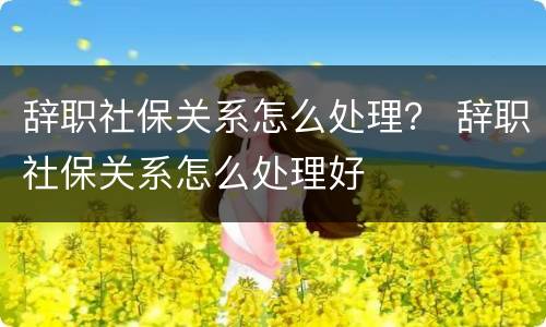 辞职社保关系怎么处理？ 辞职社保关系怎么处理好