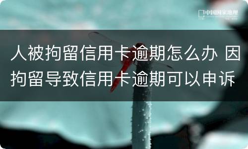 人被拘留信用卡逾期怎么办 因拘留导致信用卡逾期可以申诉吗