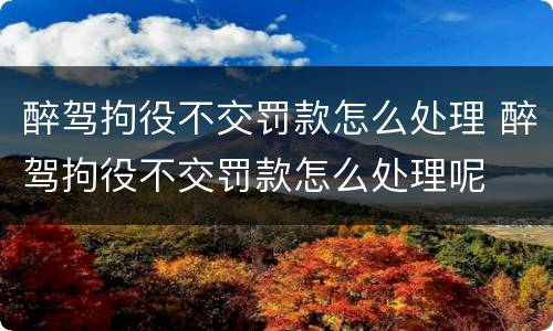醉驾拘役不交罚款怎么处理 醉驾拘役不交罚款怎么处理呢