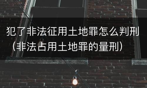 犯了非法征用土地罪怎么判刑（非法占用土地罪的量刑）