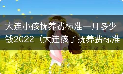 大连小孩抚养费标准一月多少钱2022（大连孩子抚养费标准）