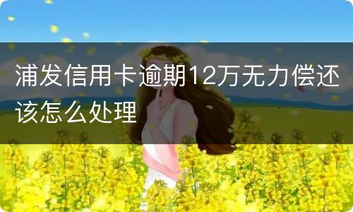 浦发信用卡逾期12万无力偿还该怎么处理