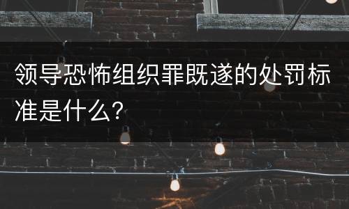 领导恐怖组织罪既遂的处罚标准是什么？