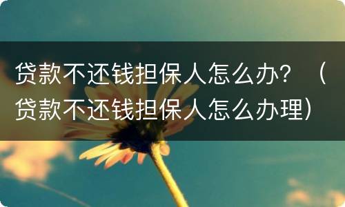 贷款不还钱担保人怎么办？（贷款不还钱担保人怎么办理）