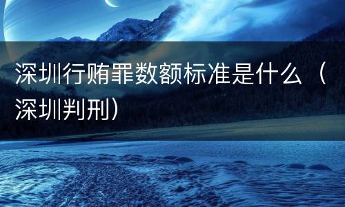 深圳行贿罪数额标准是什么（深圳判刑）