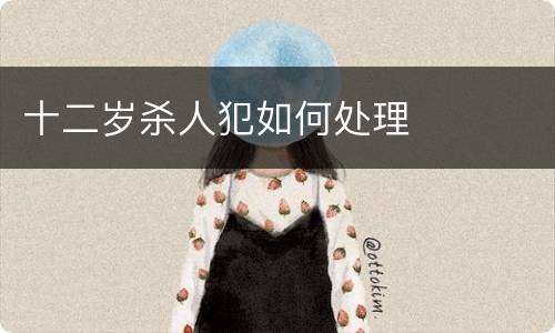 十二岁杀人犯如何处理