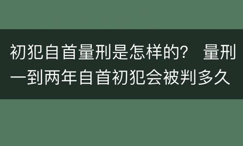 初犯自首量刑是怎样的？ 量刑一到两年自首初犯会被判多久