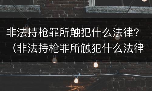 非法持枪罪所触犯什么法律？（非法持枪罪所触犯什么法律规定）