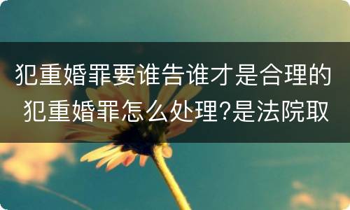 犯重婚罪要谁告谁才是合理的 犯重婚罪怎么处理?是法院取证吗?