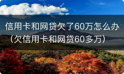 信用卡和网贷欠了60万怎么办（欠信用卡和网贷60多万）