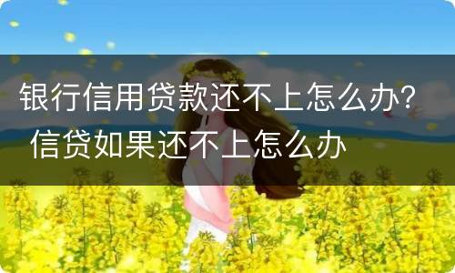 银行信用贷款还不上怎么办？ 信贷如果还不上怎么办