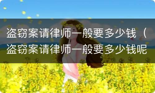 盗窃案请律师一般要多少钱（盗窃案请律师一般要多少钱呢）