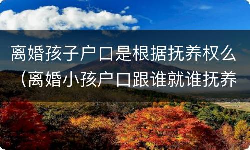离婚孩子户口是根据抚养权么（离婚小孩户口跟谁就谁抚养是吗）