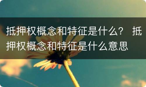 抵押权概念和特征是什么？ 抵押权概念和特征是什么意思