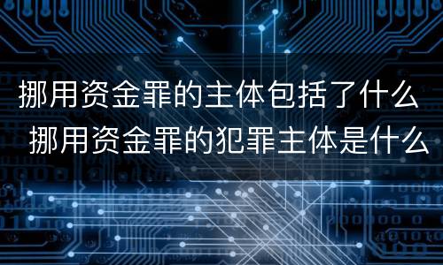 挪用资金罪的主体包括了什么 挪用资金罪的犯罪主体是什么