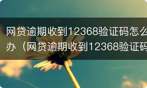 网贷逾期收到12368验证码怎么办（网贷逾期收到12368验证码怎么办呢）