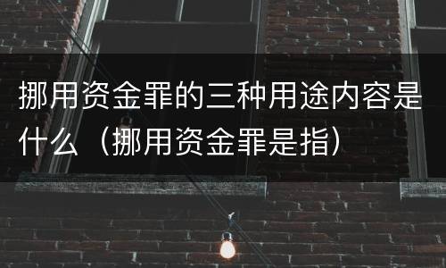 挪用资金罪的三种用途内容是什么（挪用资金罪是指）