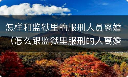 怎样和监狱里的服刑人员离婚（怎么跟监狱里服刑的人离婚）