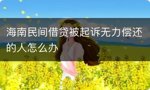 海南民间借贷被起诉无力偿还的人怎么办