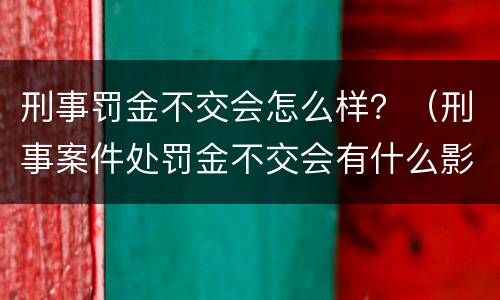 刑事罚金不交会怎么样？（刑事案件处罚金不交会有什么影响）