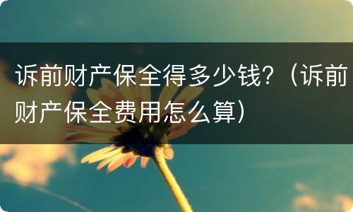 诉前财产保全得多少钱?（诉前财产保全费用怎么算）