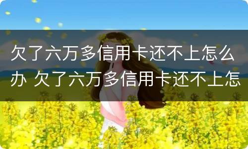 欠了六万多信用卡还不上怎么办 欠了六万多信用卡还不上怎么办呢