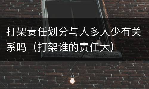 打架责任划分与人多人少有关系吗（打架谁的责任大）