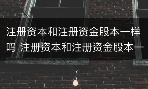 注册资本和注册资金股本一样吗 注册资本和注册资金股本一样吗为什么