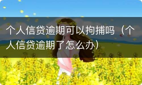 个人信贷逾期可以拘捕吗（个人信贷逾期了怎么办）