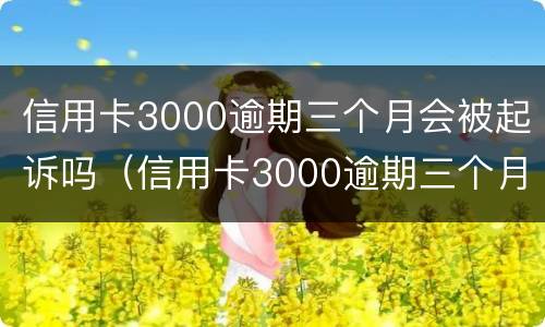 信用卡3000逾期三个月会被起诉吗（信用卡3000逾期三个月后果）