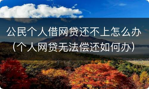 公民个人借网贷还不上怎么办（个人网贷无法偿还如何办）