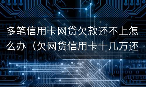 多笔信用卡网贷欠款还不上怎么办（欠网贷信用卡十几万还不上怎么办）