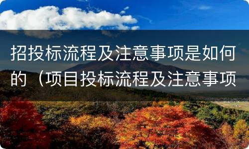 招投标流程及注意事项是如何的（项目投标流程及注意事项）