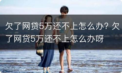 欠了网贷5万还不上怎么办? 欠了网贷5万还不上怎么办呀