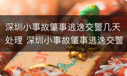深圳小事故肇事逃逸交警几天处理 深圳小事故肇事逃逸交警几天处理结束