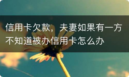 信用卡欠款，夫妻如果有一方不知道被办信用卡怎么办