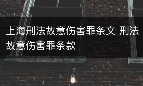 上海刑法故意伤害罪条文 刑法故意伤害罪条款