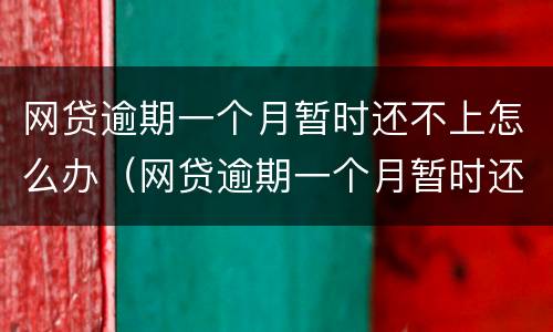 网贷逾期一个月暂时还不上怎么办（网贷逾期一个月暂时还不上怎么办）