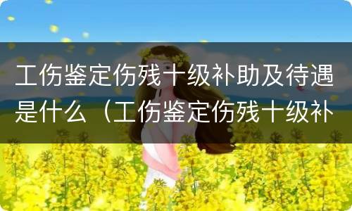 工伤鉴定伤残十级补助及待遇是什么（工伤鉴定伤残十级补助及待遇是什么意思）