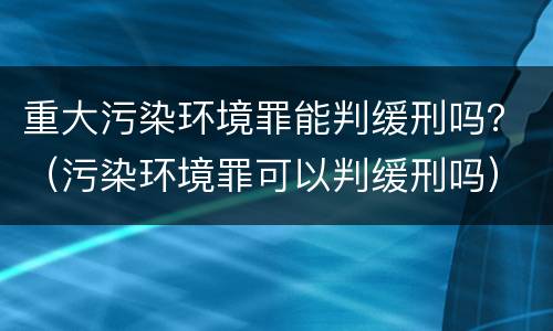 重大污染环境罪能判缓刑吗？（污染环境罪可以判缓刑吗）