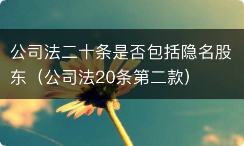 公司法二十条是否包括隐名股东（公司法20条第二款）