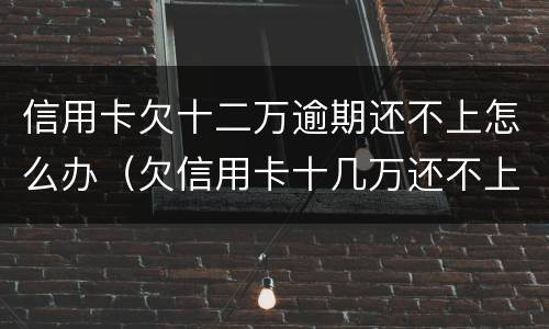 信用卡欠十二万逾期还不上怎么办（欠信用卡十几万还不上怎么办）