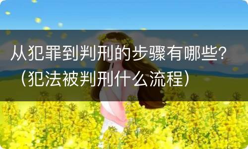 从犯罪到判刑的步骤有哪些？（犯法被判刑什么流程）
