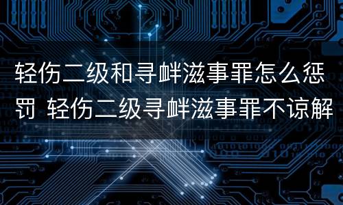 轻伤二级和寻衅滋事罪怎么惩罚 轻伤二级寻衅滋事罪不谅解怎么判
