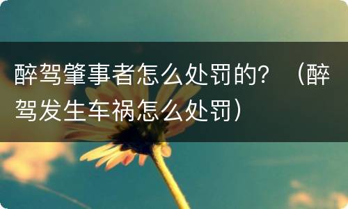 醉驾肇事者怎么处罚的？（醉驾发生车祸怎么处罚）